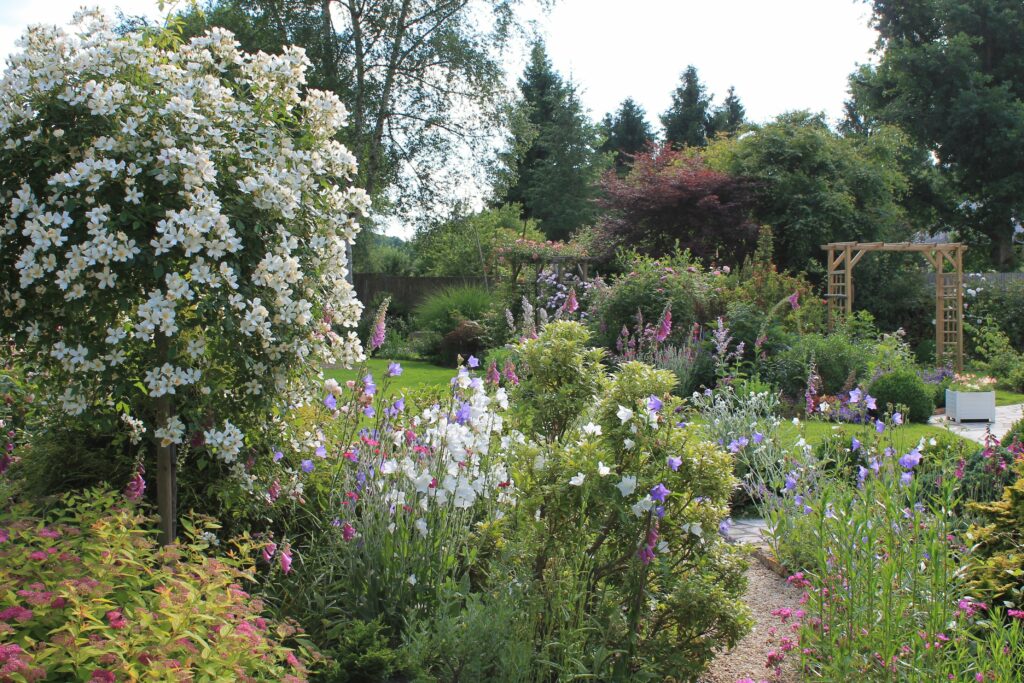 Quelles plantes pour un jardin fleuri toute l'année ?