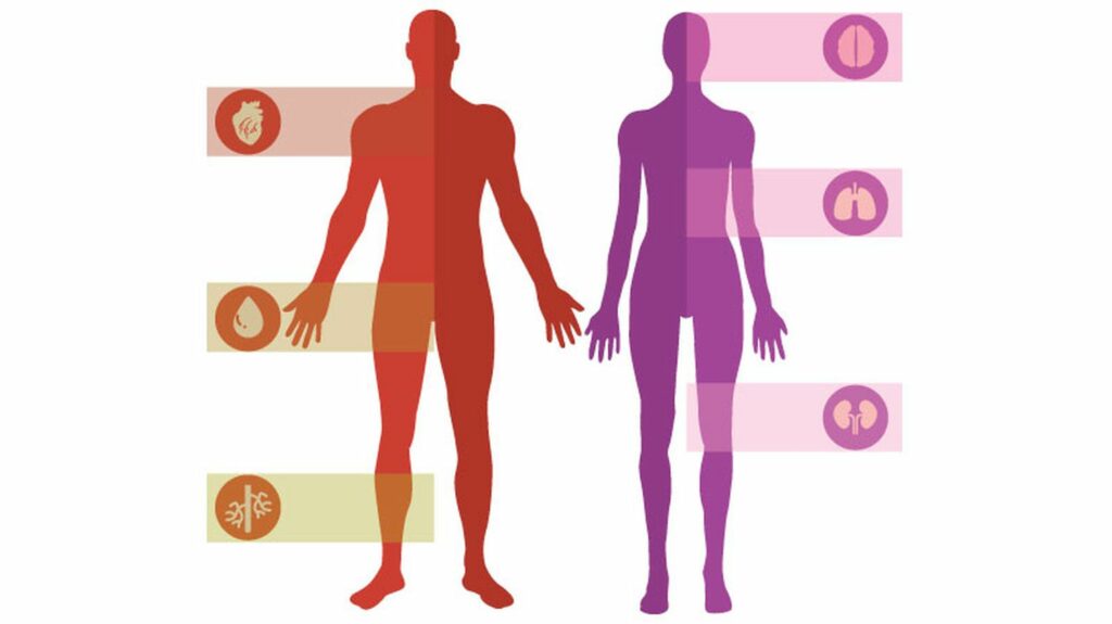 Quels sont les effets de la peur sur le corps ?