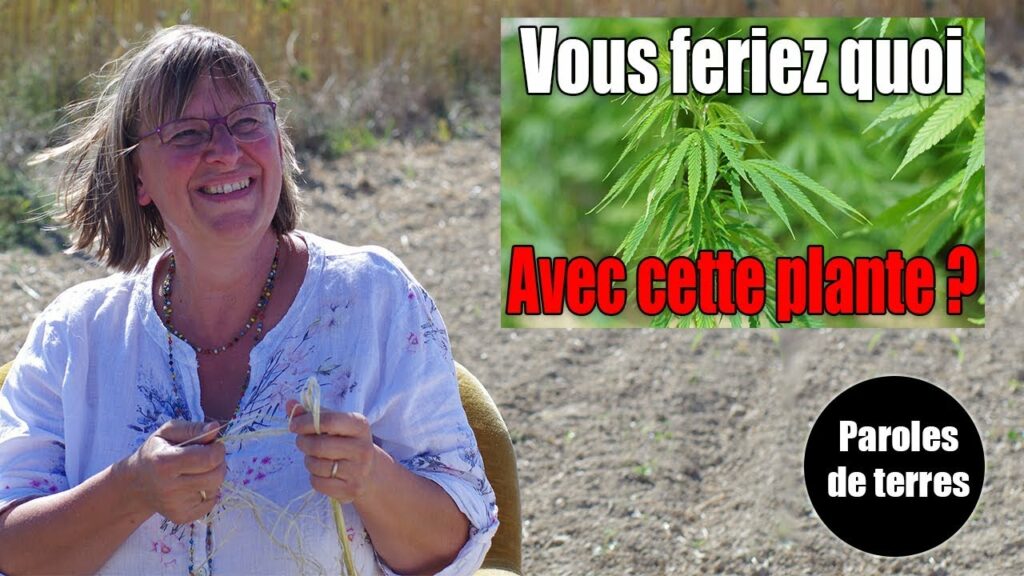 Quels sont les paroles de Confucius ?