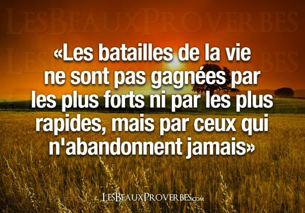 Quels Sont Les Proverbes De La Vie Quotes Tn Citations Proverbes Belles Phrases