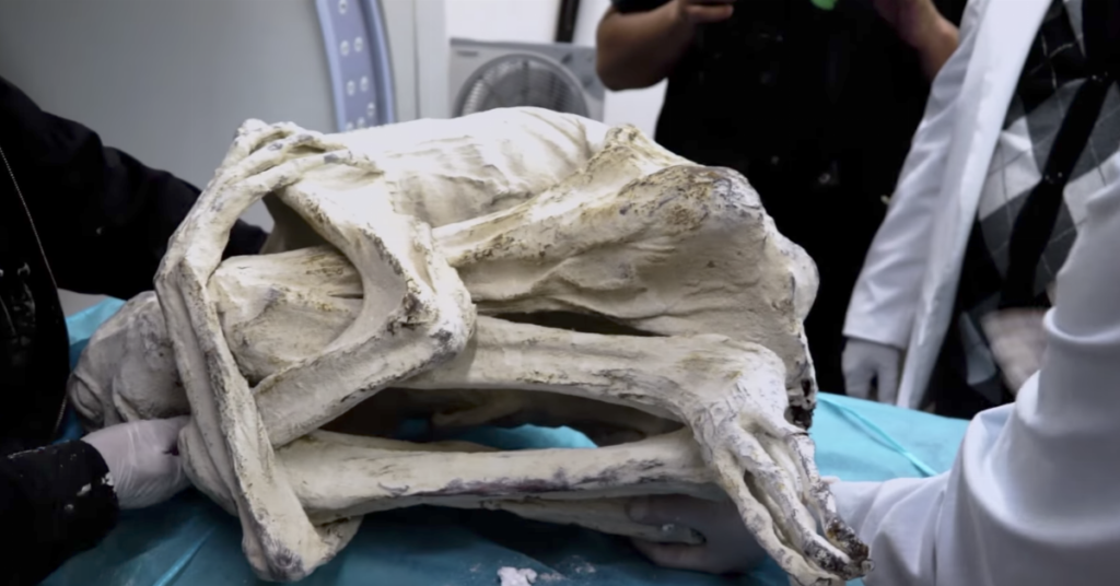 Qu'est-ce qui fait la valeur d'un être humain ?