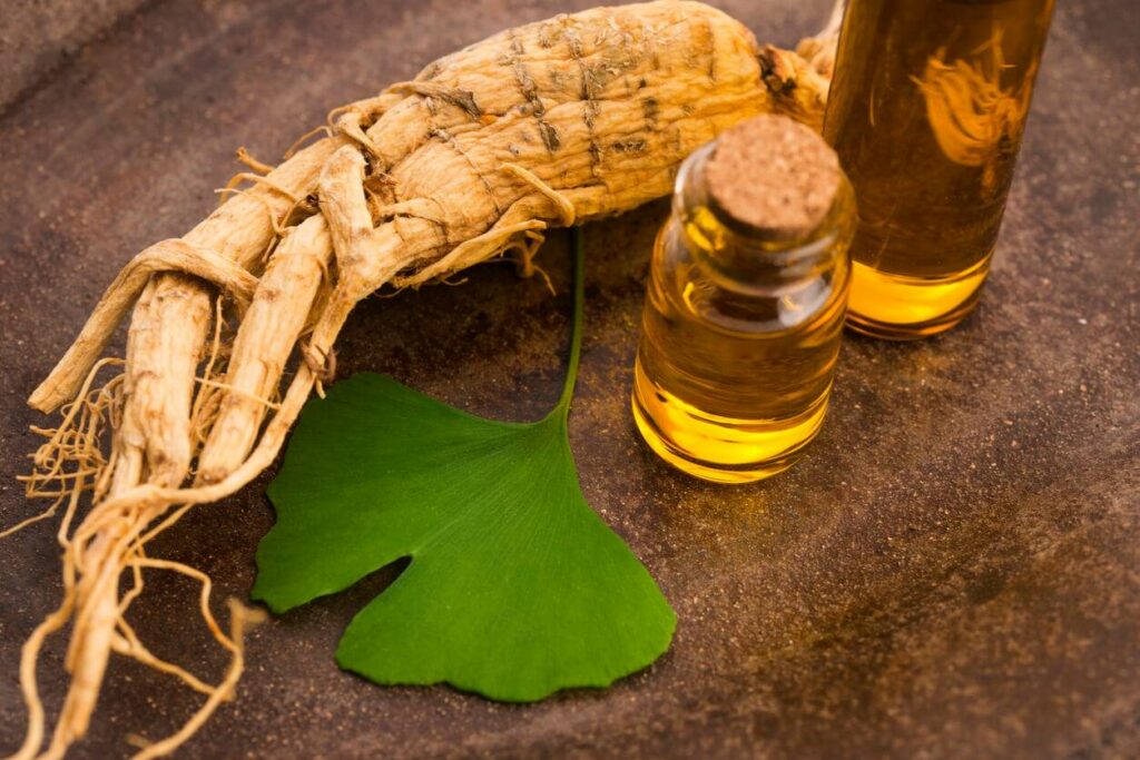 Qu'est-ce qui se plante en février ?