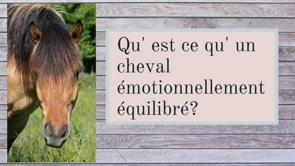 Qu’est-ce qu’un mauvais comportement ? Qu'est-ce qu'un mauvais comportement ?