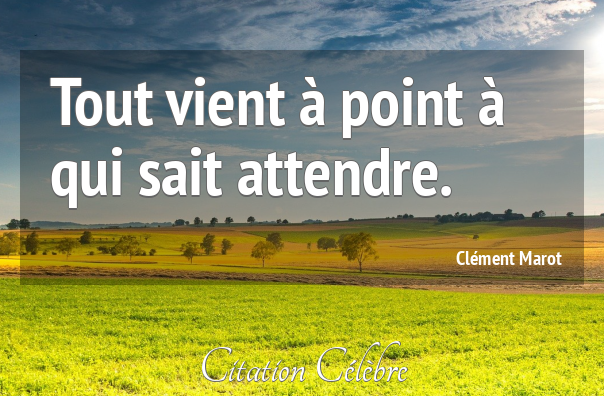 Qui Sait Citation Quotes Tn Citations Proverbes Belles Phrases