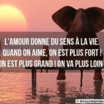 230 citations sur amour pour elle - Les plus belles ...