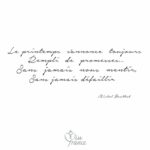 Citation BONHEUR SIMPLE : 1 phrases et proverbes