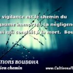 Citation Bouddha Voyage Chemin : Tu ne peux...