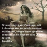 Les Meilleures Citations Bouddha | Bouddha Bouddhisme®