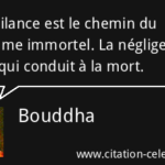 Citation du Bouddha - Bouddhisme Zen