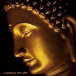 BOUDDHA et PATIENCE : 2 citations et phrases, ses plus ...
