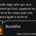 Citation Bouddha Patience – Dicocitations