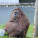 Citation COMIQUE : 40 phrases et proverbes