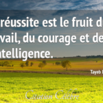 Télécharger Citations Courage Travail