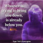 35 meilleures idées sur Citation De Bouddha | citation ...