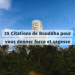 9 Citations Bouddha bonheur