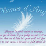 Icetea & Fluminis poèmes :: Divers - courage et espoir ...