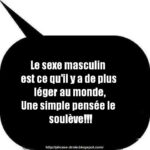 Citation sur les chats - Drôle, amour ... - PlaneteAnimal.com