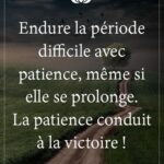 Proverbes Sur La Patience