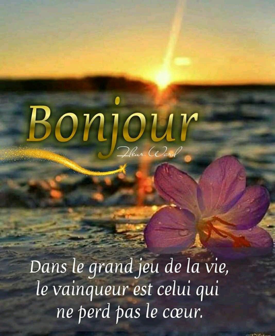 Top 11 Citation Du Matin Bonjour Photos Quotes Tn Citations Proverbes Belles Phrases