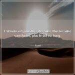 Citation PATIENCE AMOUR : 1 phrases et proverbes