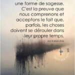 Citation PATIENCE : 500 phrases et proverbes