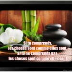 Citation Zen - Bouddhisme Zen