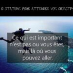 Efficacité professionnelle