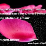 15+ Citation Patience Amour - Dustin Mahoney