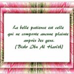 Citations françaises célèbres connues citation patience ...