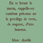 Citation BONHEUR DE LA VIE : 9 phrases et proverbes