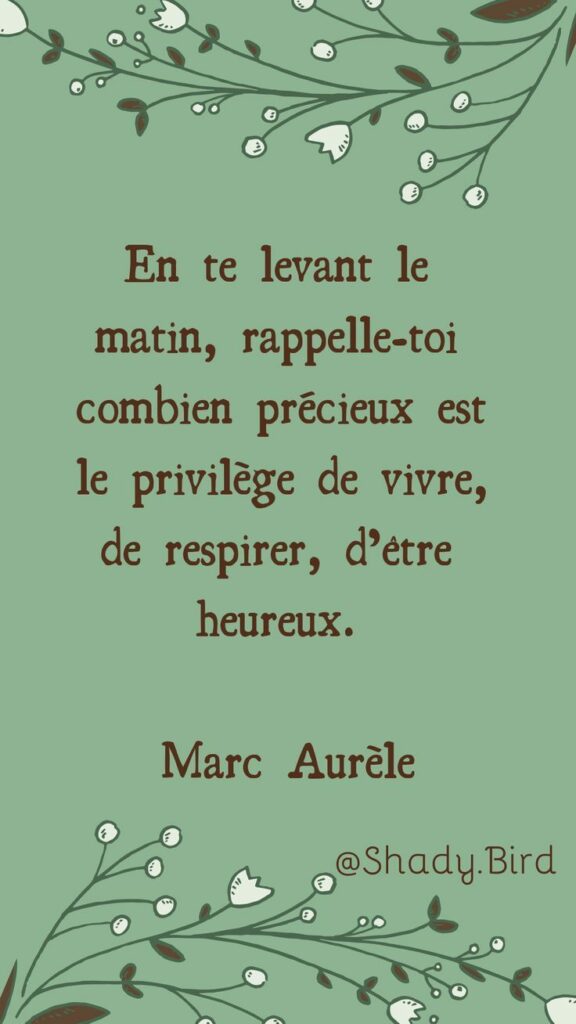 Citation BONHEUR DE LA VIE : 9 phrases et proverbes