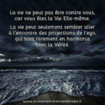 100 citations pour réussir dans la vie ! - Michel Anielo - Cultura