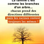 Citation & proverbe DESUNIE - 3 citations et proverbes desunie