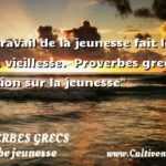 Pierre Bourdieu : La jeunesse n'est qu'un mot. 1978