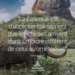 Citation françaises de Hazrat Ali « La patience est le ...