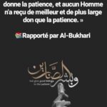 Top 13 Citation Sur La Patience Islam Photos Quotes Tn Citations Proverbes Belles Phrases