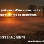 Belle citation du CORAN : Meilleure citation islamique