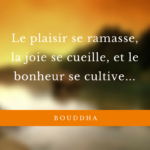 Citation Sur La Vie Le Bonheur - Dicocitations