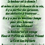 Citations sur le Bonheur - Des Jolies Choses
