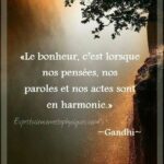 Citation Sur Le Bonheur Philo - Citation de Sagesse