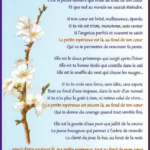 Citations espérance : 135 citations sur espérance