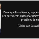 Intelligence et humour 7 citations courtes et proverbes