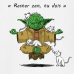 Citation Humour Zen Attitude Download
