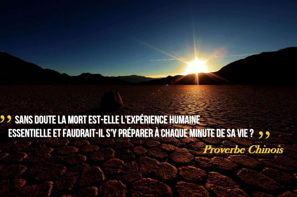 390 idées de Citation de la vie | citation, proverbes et ...