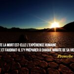 390 idées de Citation de la vie | citation, proverbes et ...