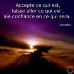 Citation père/fille : 50 Phrases d'amour sur cette ...