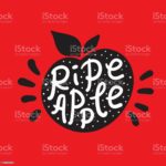 Citation JEUNES : 390 phrases et proverbes