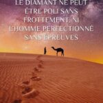 Les 50 meilleures phrases et citations positives