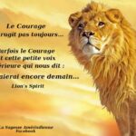 Citation LE COURAGE : 430 phrases et proverbes