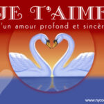 8 signes qui prouvent que votre relation est basée sur un amour …